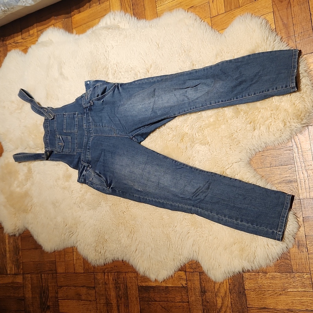 Free People overall